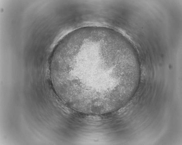 X0000088181215200706051133