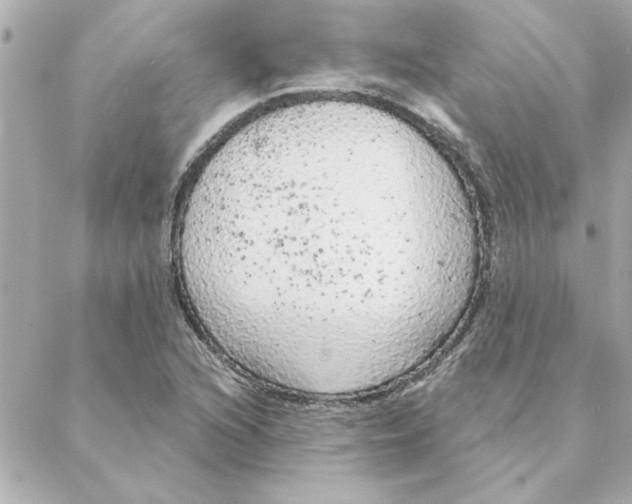 X0000088181216200706051133