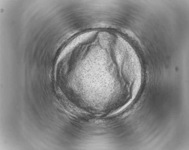 X0000088181217200706051133