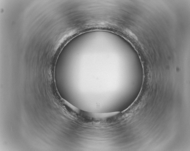 X0000088181218200706051133