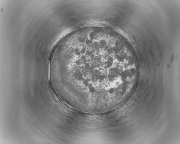 X0000088181219200706051133