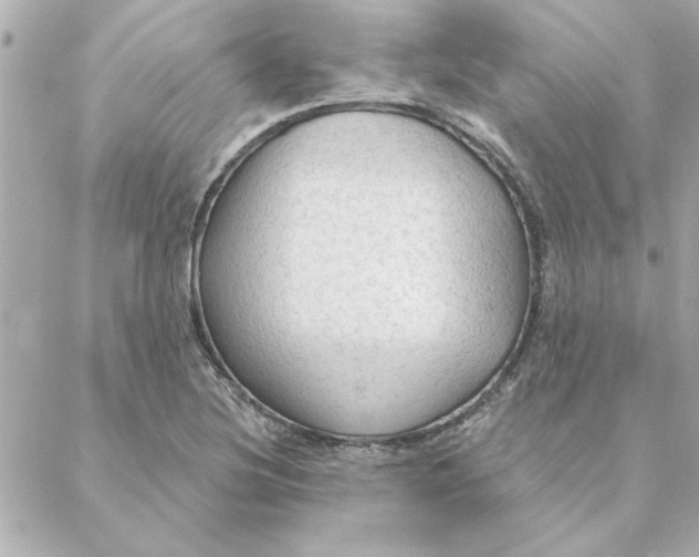 X0000088181220200706051133