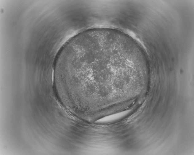 X0000088181221200706051133