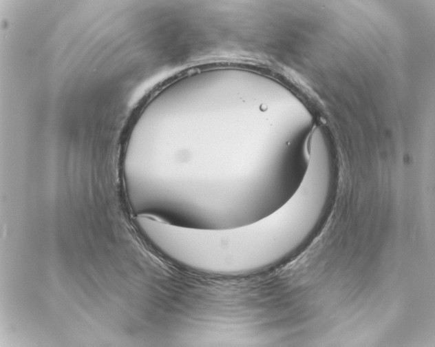 X0000088181222200706051133