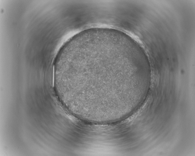 X0000088181223200706051133