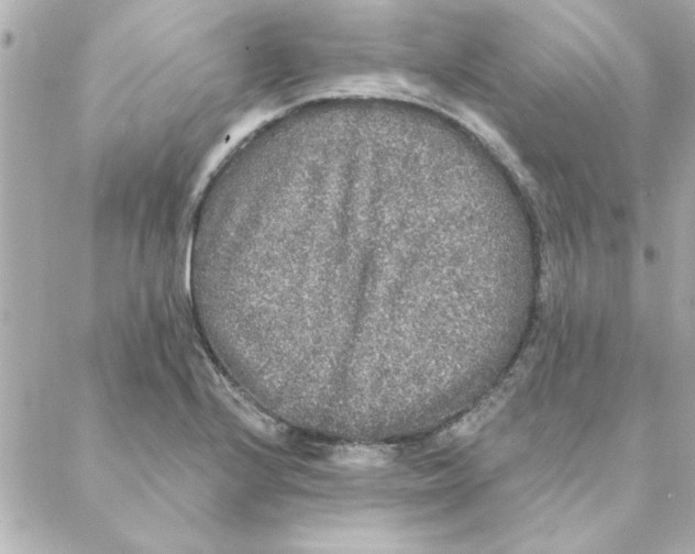 X0000088181224200706051133