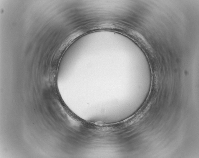 X0000088181225200706051133