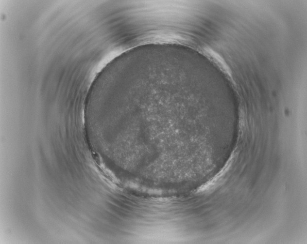 X0000088181226200706051133