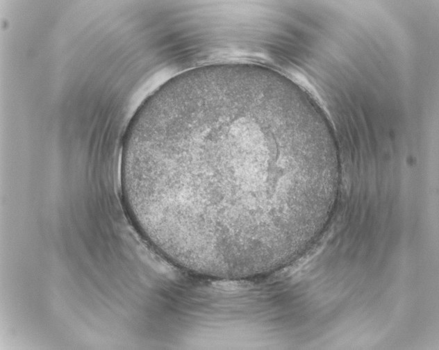 X0000088181227200706051133