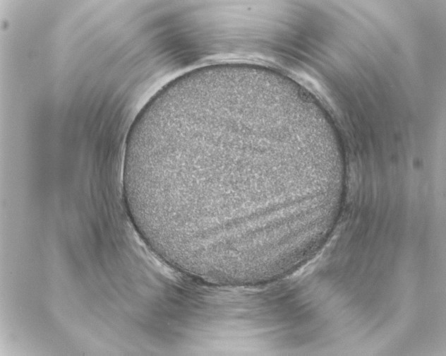 X0000088181228200706051133