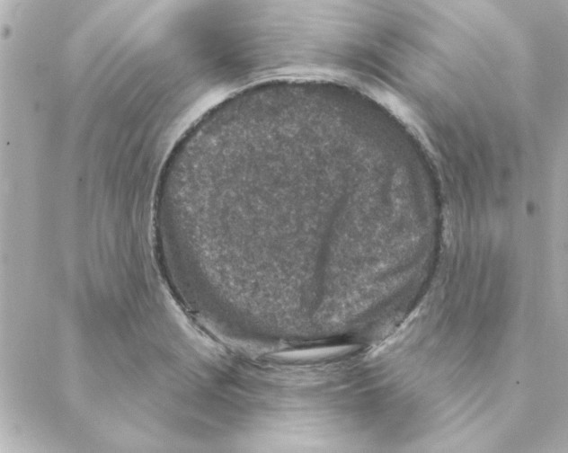 X0000088181229200706051133