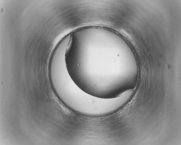 X0000088181230200706051133