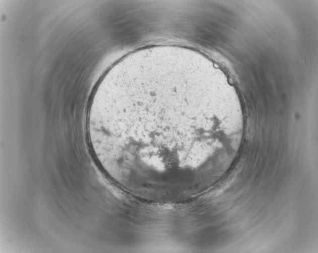 X0000088181231200706051133