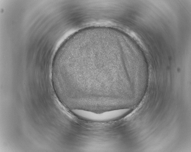 X0000088181232200706051133