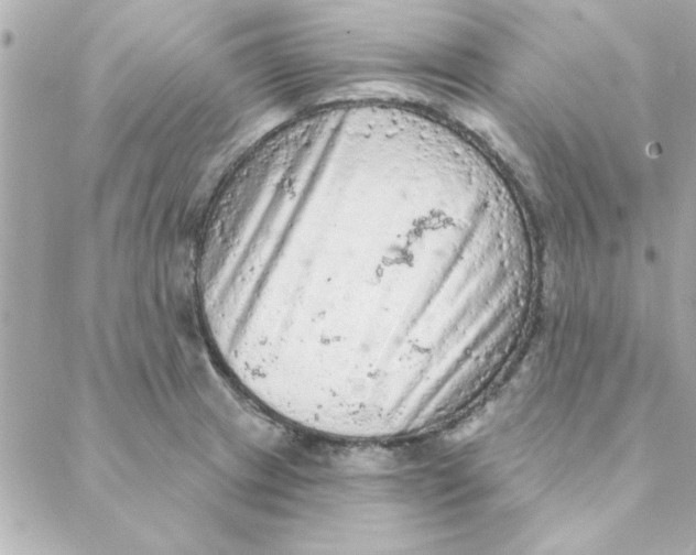 X0000088181233200706051133