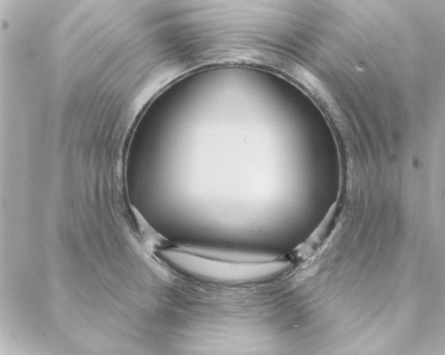 X0000088181234200706051133