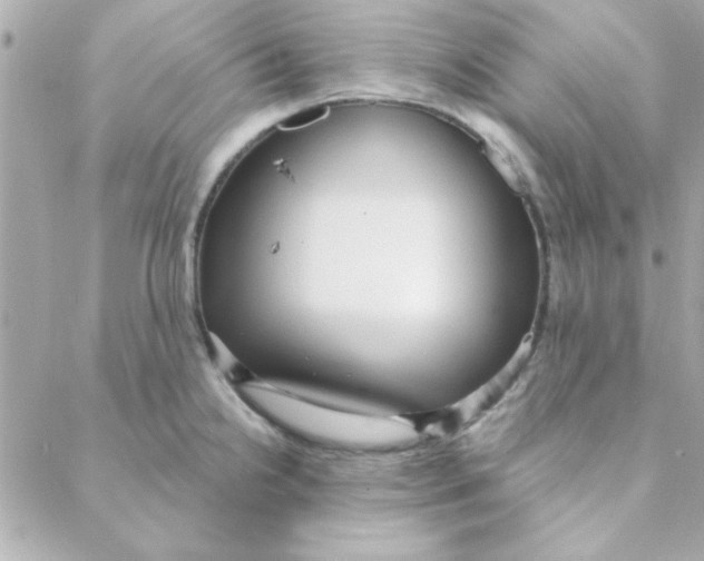 X0000088181238200706051133