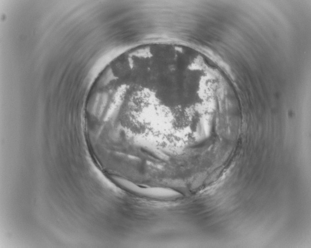 X0000088181239200706051133