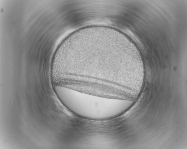 X0000088181240200706051133