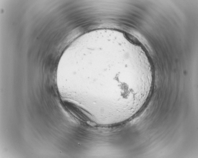 X0000088181241200706051133