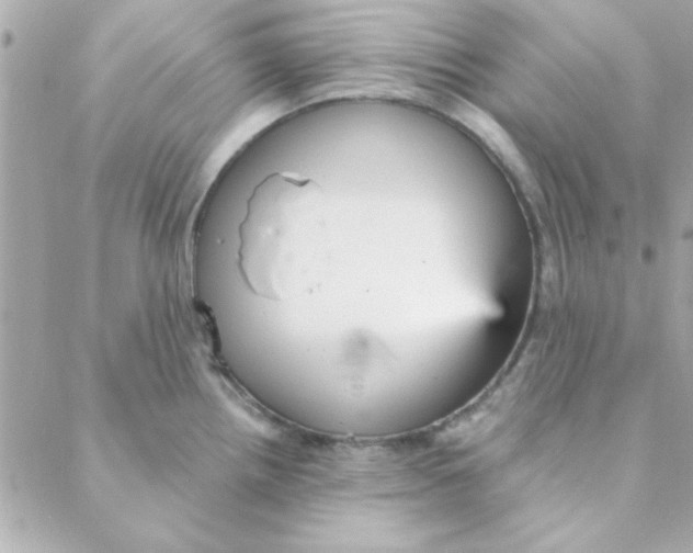 X0000088181242200706051133