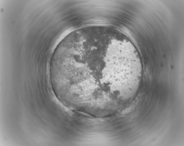 X0000088181243200706051134