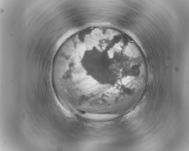 X0000088181245200706051134