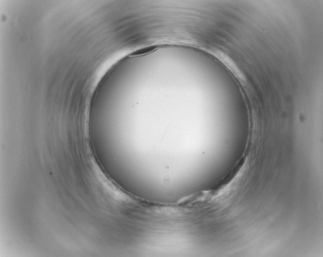 X0000088181246200706051134