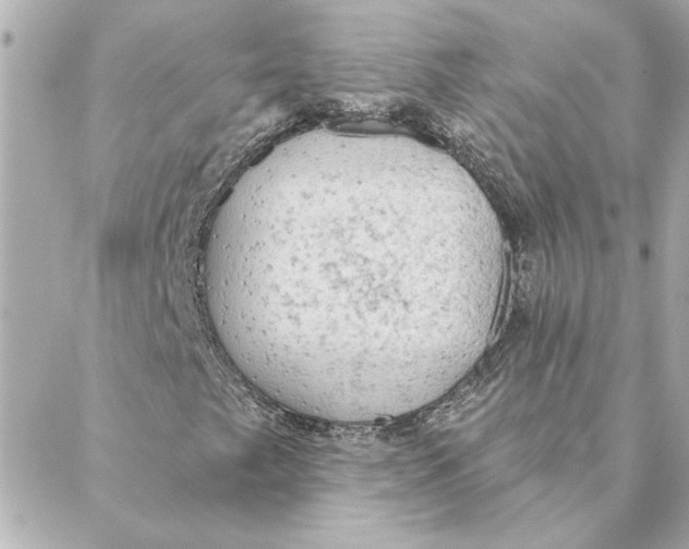 X0000088181249200706051133