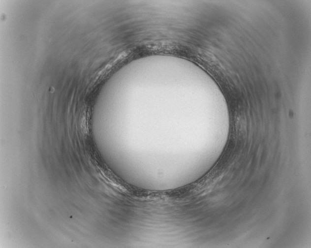 X0000088181250200706051133