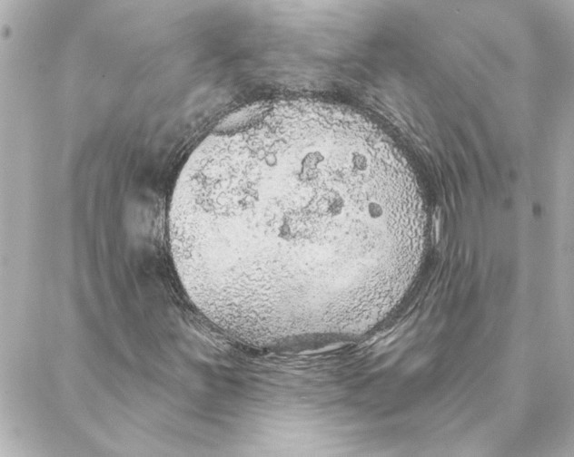 X0000088181251200706051133