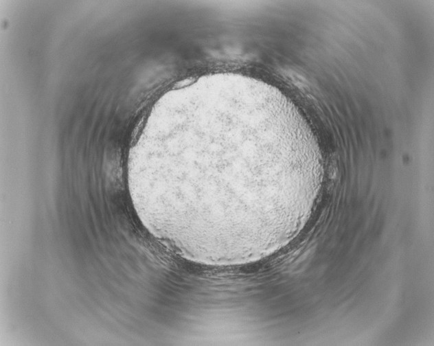 X0000088181252200706051133