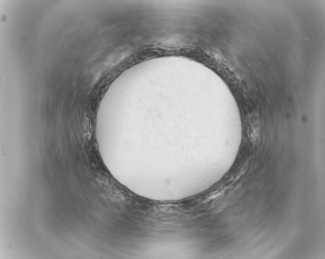 X0000088181253200706051133