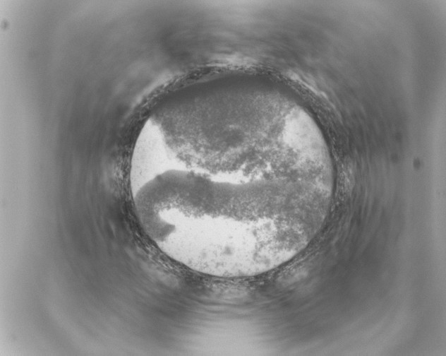 X0000088181254200706051133