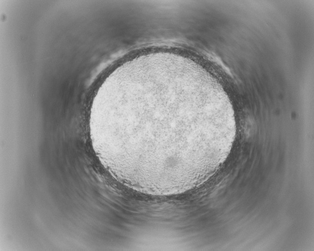 X0000088181256200706051133