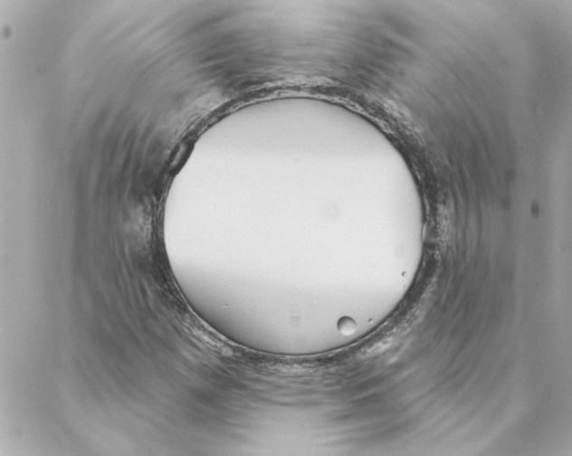 X0000088181257200706051133