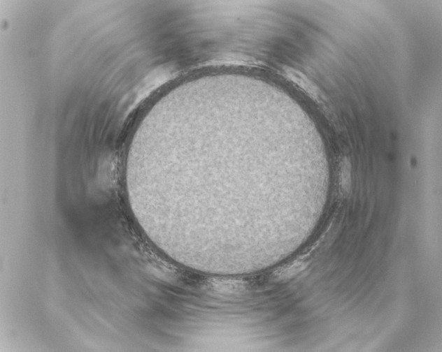 X0000088181258200706051133