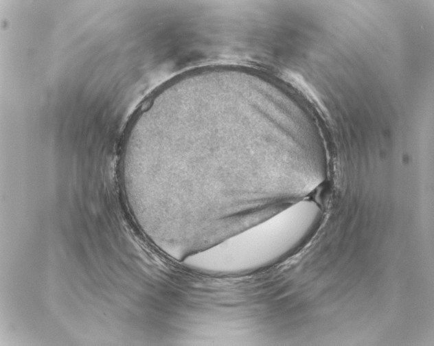 X0000088181260200706051133