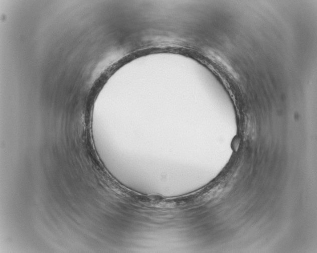 X0000088181261200706051133