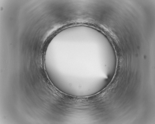 X0000088181262200706051133