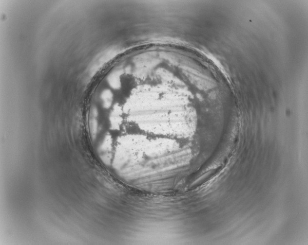 X0000088181263200706051133