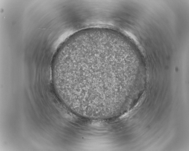 X0000088181267200706051133