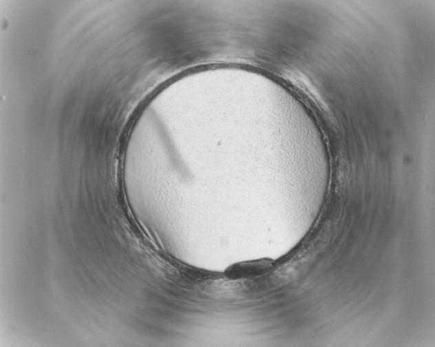 X0000088181268200706051132