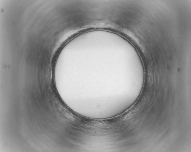 X0000088181270200706051132