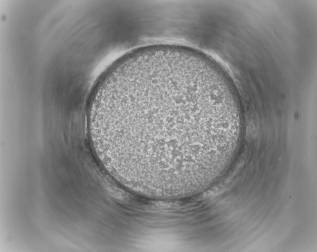 X0000088181271200706051132