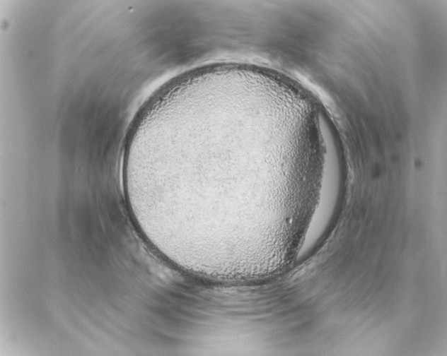 X0000088181272200706051132