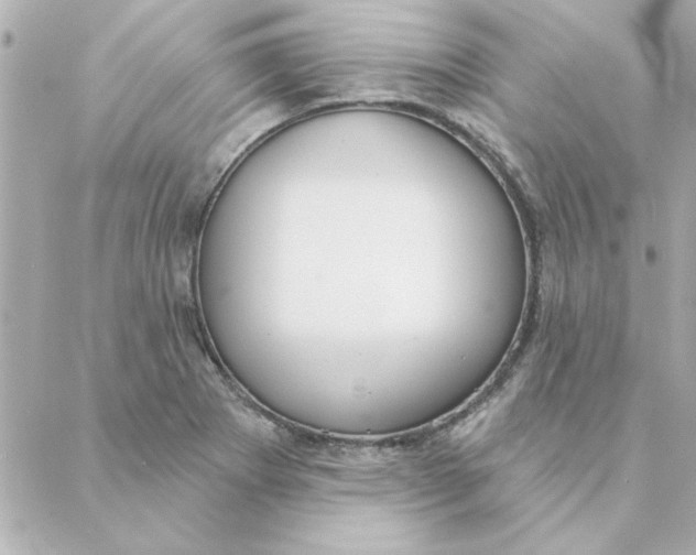 X0000088181273200706051132