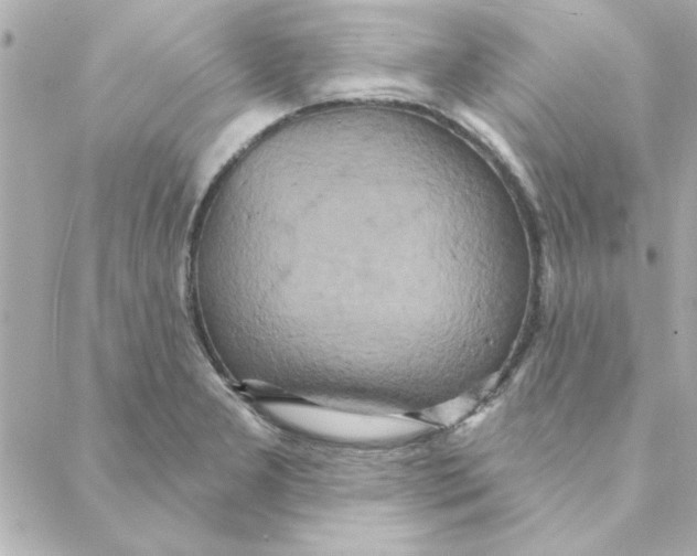 X0000088181277200706051132