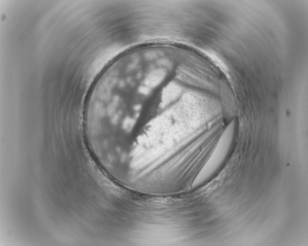 X0000088181279200706051132