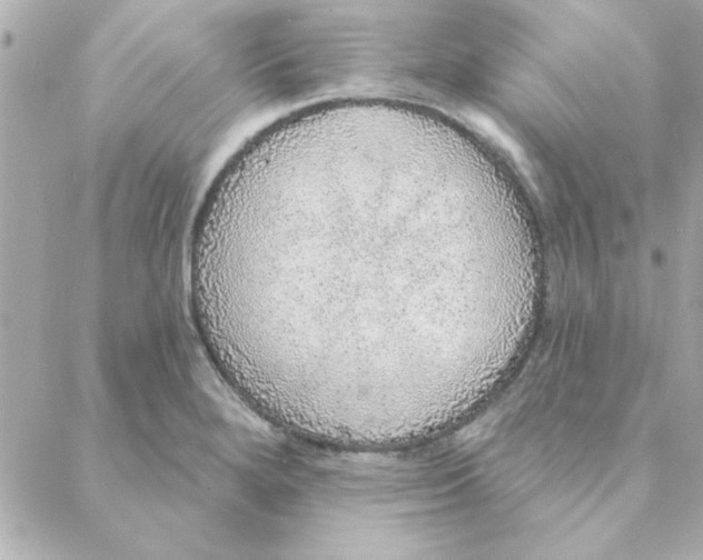 X0000088181280200706051132